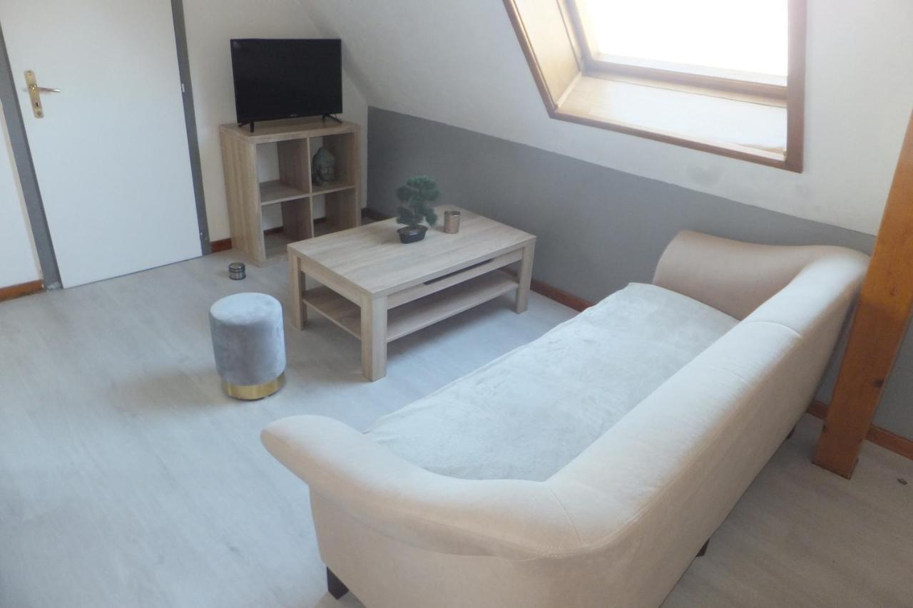 Superbe Appartement En Residence Betschdorf Dış mekan fotoğraf